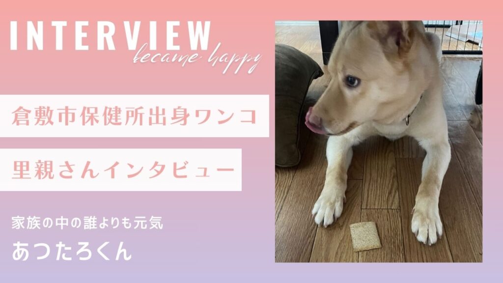 【里親インタビュー】倉敷市保健所出身のあつたろ君、家族の中の誰よりも元気