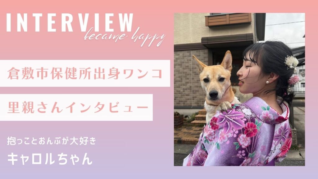 【里親インタビュー】倉敷市保健所出身のキャロルちゃんは抱っことおんぶが大好き
